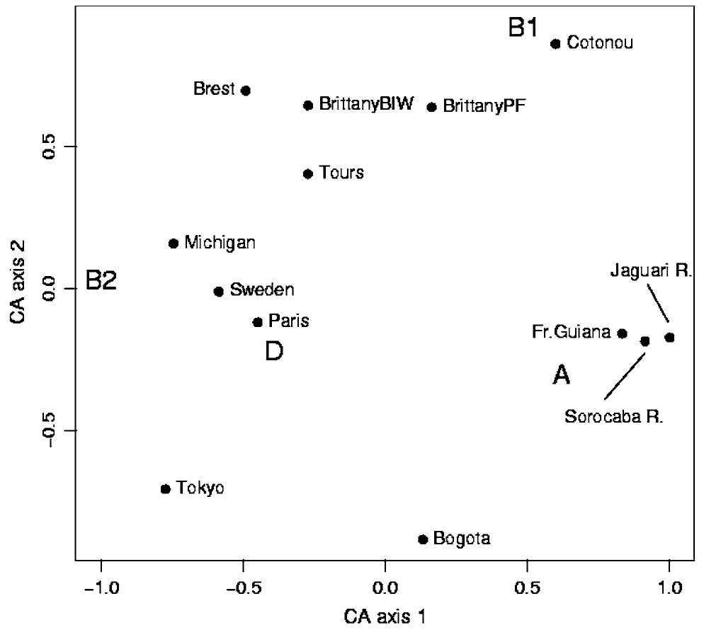 Phylogenetic