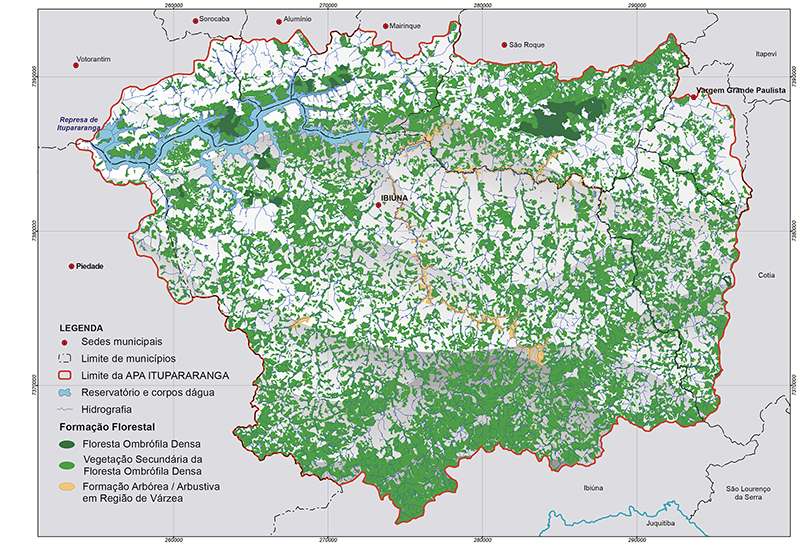 Formação florestal da APA Itupararanga