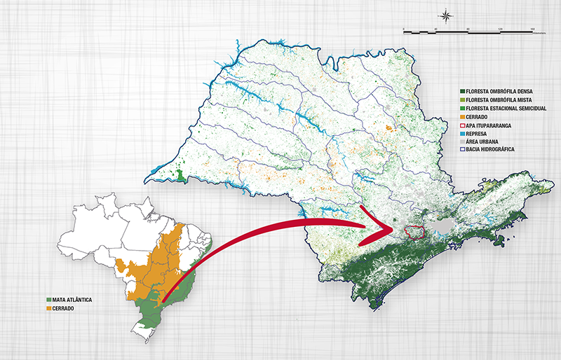Mapa do Cerrado e Mata Atlântica